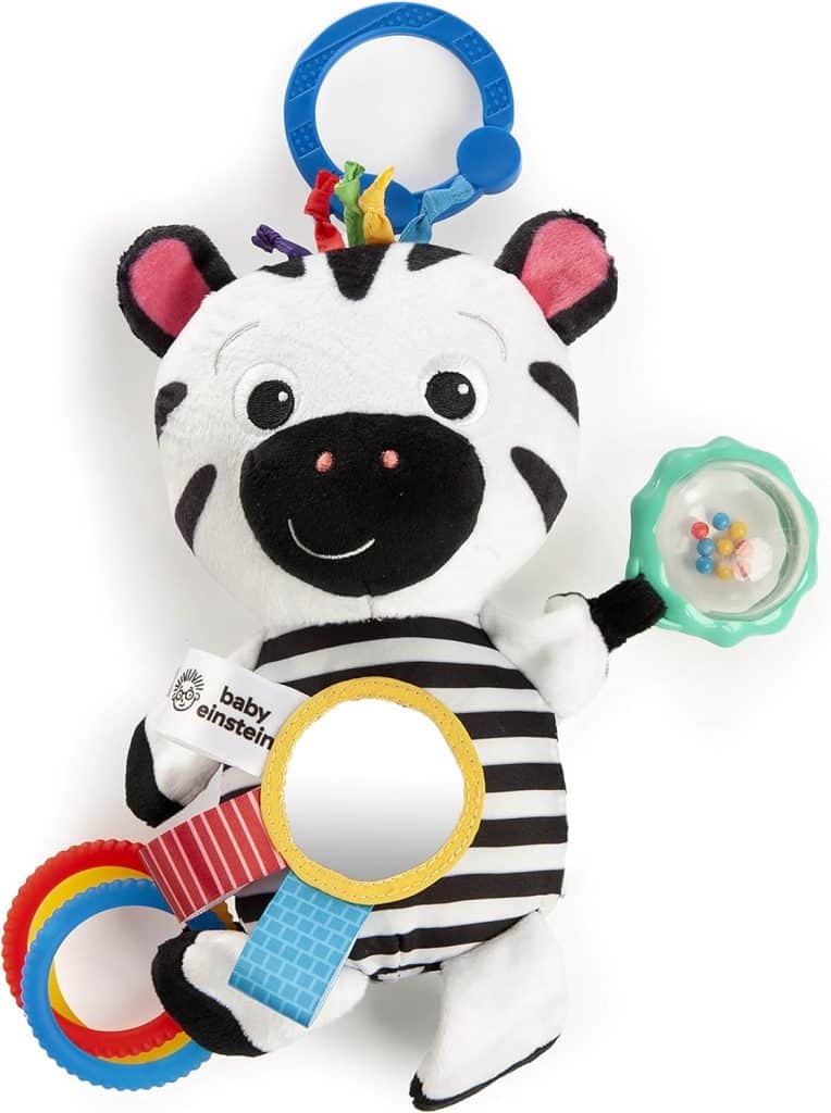 Baby Einstein Teether-pillar Rattle and Chill Teething Toy, Ages 3 months +