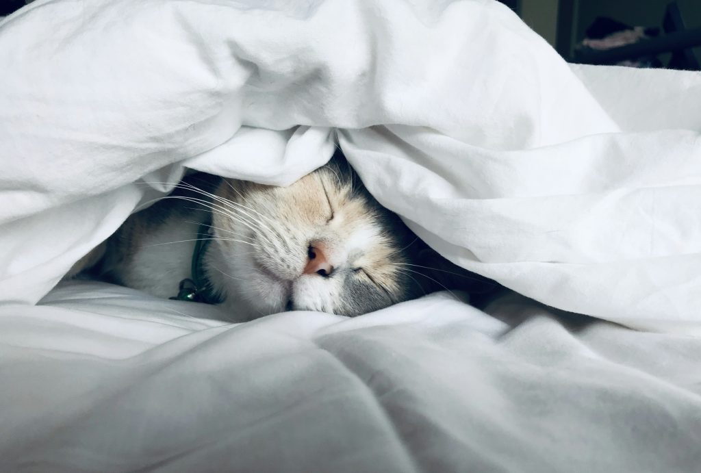 Best Nighttime Routines To Help Babies Sleep Through The Night