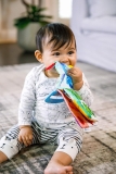 Baby Einstein Teether-pillar Rattle Review