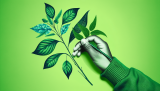 How To Choose An Eco-friendly Baby Care Product Line